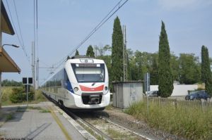 Foto: Salvatore De Liso