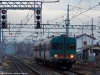 FS_ALn668_1207_Cerea_(101).jpg