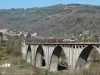 FS_E652_020_Centola_(101).jpg
