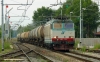 FS_E652_124_Cerea_(101).jpg