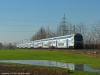 FS_pilota_vivalto_Castellucchio_(101).jpg