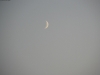 Copia_di_P1050423.JPG