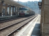 DSCF4696.jpg