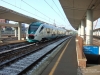 DSCF5010.jpg