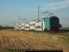 DSCF6940.jpg