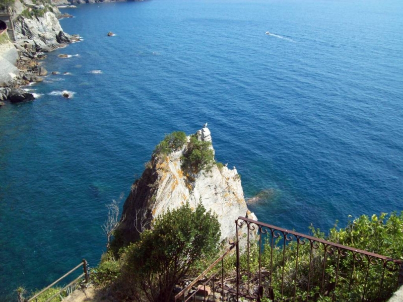 Clicca per vedere l'immagine alla massima grandezza