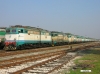 DSCN4029.jpg