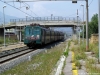 DSCF2428.jpg