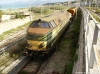 Nome del file=HPIM5683.jpg
Dimensione del file=720KiB
Dimensioni=1600x1193
Aggiunta il=21 Ott 2009 HPIM5683.jpg