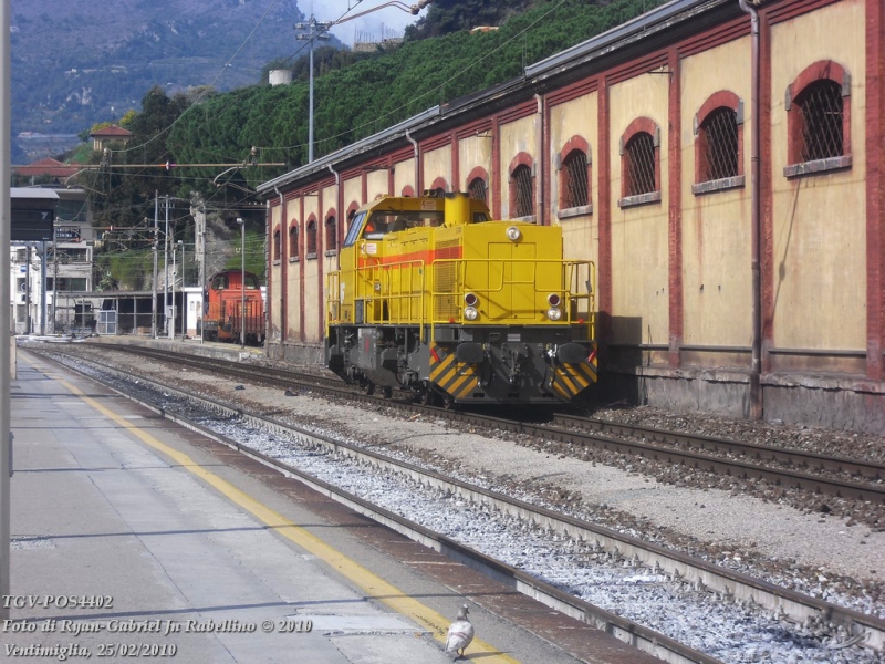 Clicca per vedere l'immagine alla massima grandezza