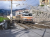 CIMG0974.jpg