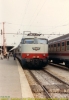 F0052n.jpg