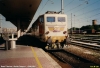 F0207n.jpg