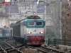 E645-088_statuto_bis.jpg