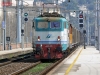 E645-325.jpg