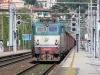 E645-347.jpg
