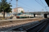 DSC_4448.JPG