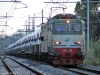 FS_E645_034_Pineto_(101).JPG