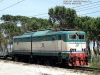 FS_E645_047_Pineto_(101).JPG
