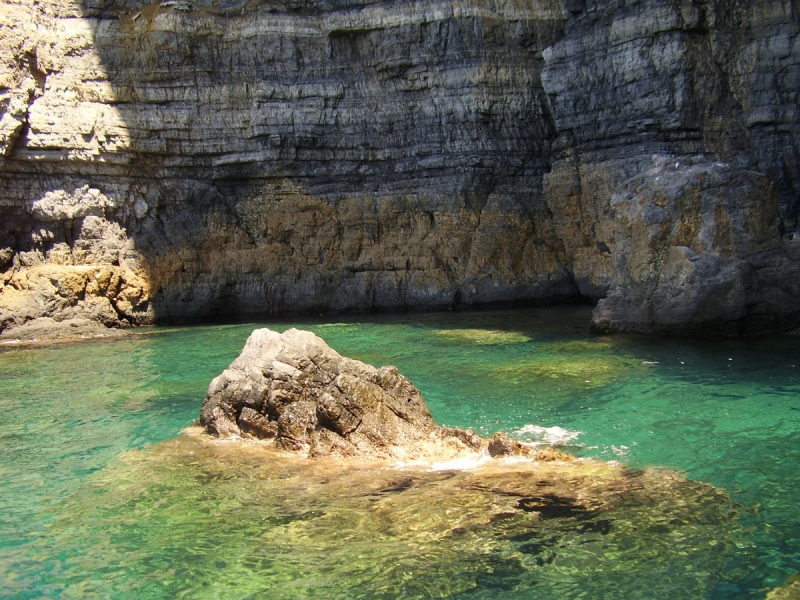 Clicca per vedere l'immagine alla massima grandezza