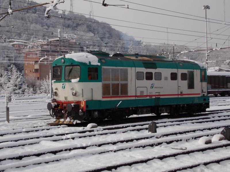Clicca per vedere l'immagine alla massima grandezza