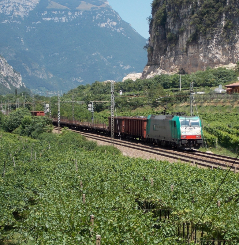 Clicca per vedere l'immagine alla massima grandezza