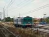 FS_ALn668_1235_Rovigo_(101).jpg