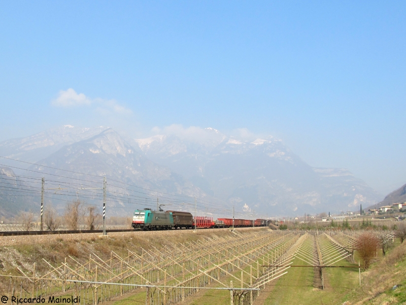 Clicca per vedere l'immagine alla massima grandezza