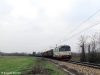 D3451071_Marcaria_101.jpg