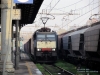 E189_999_cremona.jpg