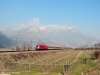 E190004_ossenigo_101.jpg