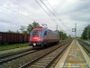 E190312_marcaria_101.jpg