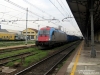 E190313_cremona_101.jpg