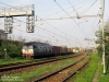 E652060_bozzolo_101.jpg