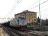 E652165_cremona_100.jpg