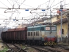 E655248_cremona~0.jpg