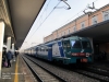 ale_724_n_29_voghera.jpg