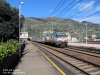 e402019_levanto_101.jpg