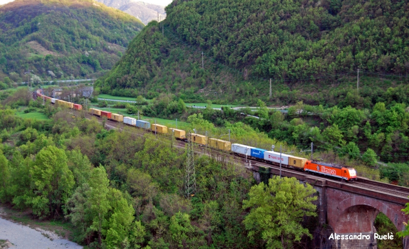 Clicca per vedere l'immagine alla massima grandezza