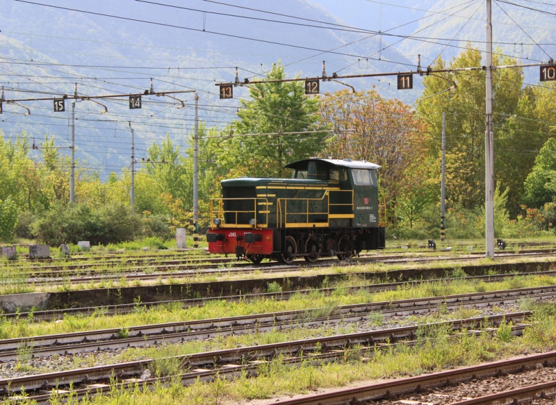 Clicca per vedere l'immagine alla massima grandezza
