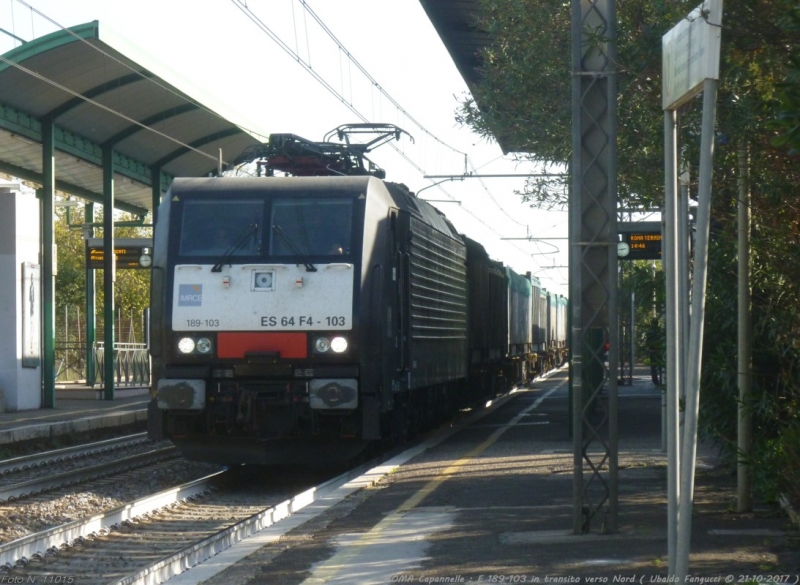 Clicca per vedere l'immagine alla massima grandezza