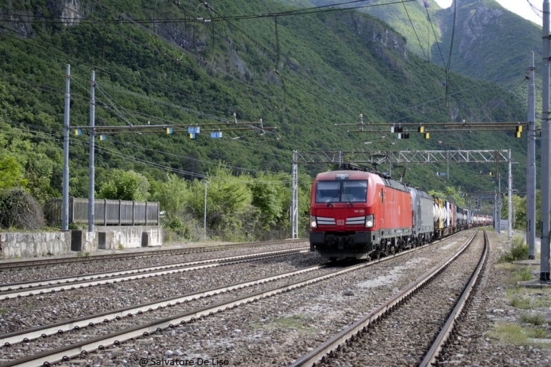 Clicca per vedere l'immagine alla massima grandezza