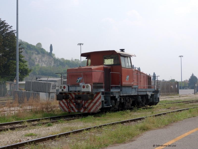 Clicca per vedere l'immagine alla massima grandezza