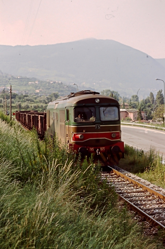 Clicca per vedere l'immagine alla massima grandezza
