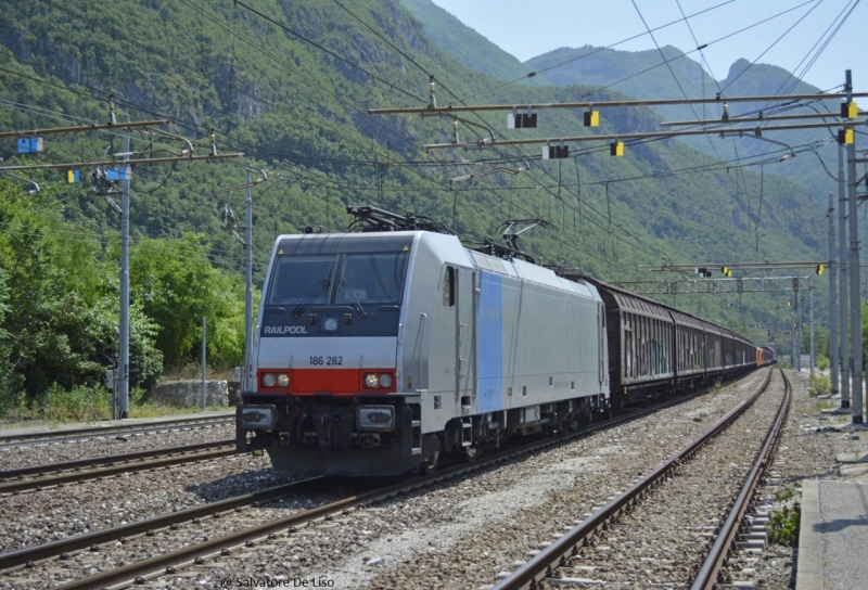 Clicca per vedere l'immagine alla massima grandezza