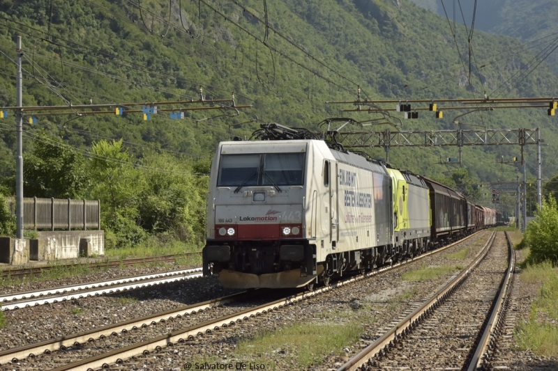 Clicca per vedere l'immagine alla massima grandezza