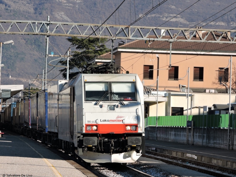 Clicca per vedere l'immagine alla massima grandezza