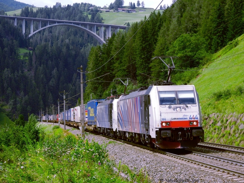 Clicca per vedere l'immagine alla massima grandezza