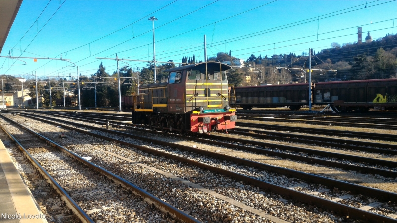 Clicca per vedere l'immagine alla massima grandezza