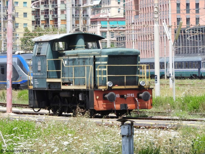 Clicca per vedere l'immagine alla massima grandezza